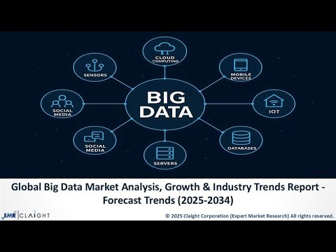 Big Data Market Share &amp; Growth Report Forecast (2025-2034)